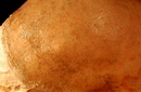 shave31