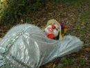 clown_27